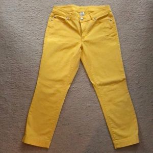 Cache Capri jeans